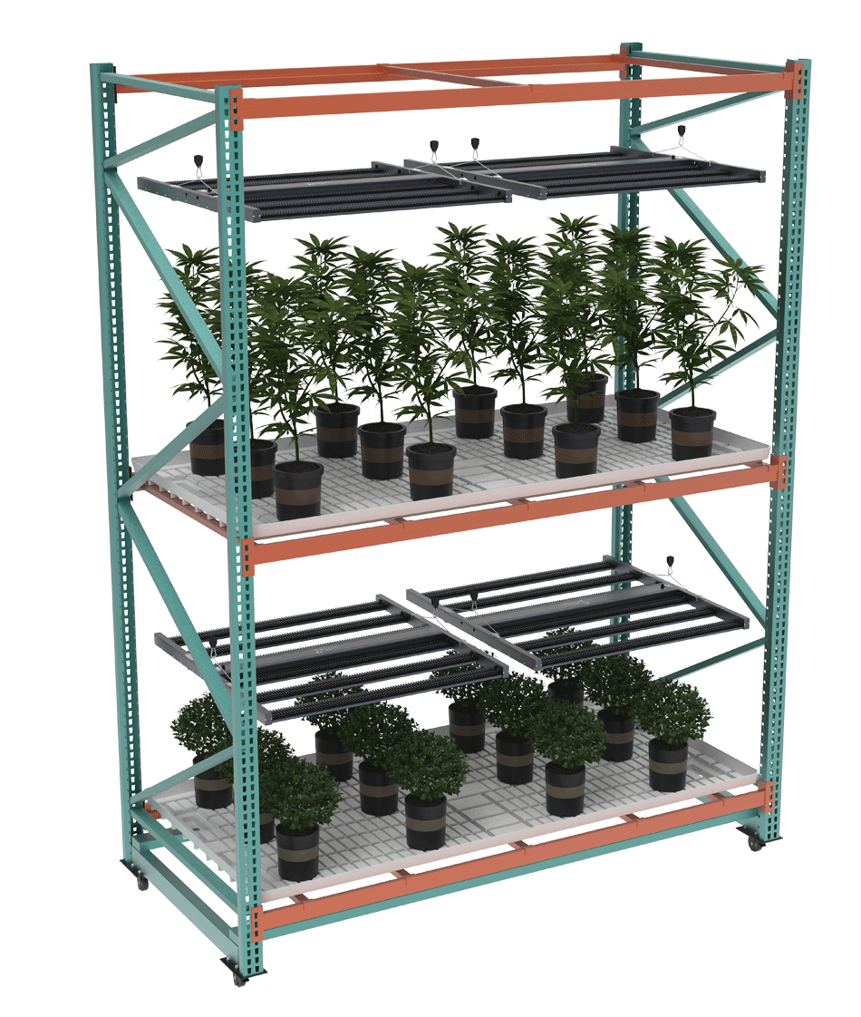 Cannabis Multi-Layers Commercial Vertical Farming Systems
