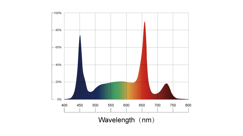 Optimized Full Spectrum